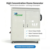 Integrierter 20g/h Ozongenerator 8% Konzentration 220V Ozonisator für Aquakultur Fischteich Wassersterilisation