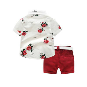 Ensembles de vêtements d'été pour garçons, ensemble de vêtements pour enfants, vêtements pour garçons, chemises à cravate fleurie + shorts, 2 pièces, costume de gentleman - Product Image 2