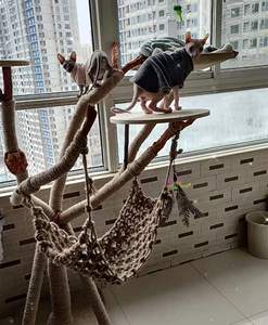 Vente en gros de chat mignon condo meubles en bois de pin Kratzbaum griffoir Cattree arbre tour maison cadre d'escalade - Product Image 3