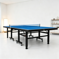 Table de ping-pong d'intérieur pliable, panneau standard, mobile avec roues et balles