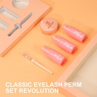 Kit de rehaussement de cils et sourcils semi-permanent sous marque privée, tenue 6-8 semaines, pour salon, usage domestique, formation, école, vente en gros