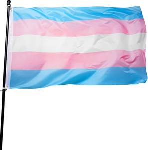 Nueva <span class=keywords><strong>Pansexual</strong></span> Rainbow Flag Gay Pride Lesbian Peace LGBT Impreso 3x5 FT Flag Banner - Product Image 6