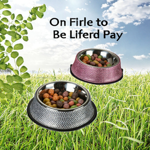 Bán Buôn Chất Lượng Cao Cấp Thép Không Gỉ Vật Nuôi Bát Thân Thiện Với Môi Nhỏ Động Vật Ăn Cho Mèo Và Chó Con - Product Image 3