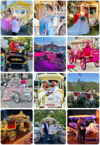 Royal Wedding Horse Carriage Electric Elegant Special Transport Solid <b>Rubber</b> Tires 2-Year Warranty - Product Image 6