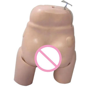 चिकित्सा सिमुलेशन यूरिनरी कैथीटर प्रशिक्षण मॉडल पुरुष मूत्रमार्ग - Product Image 4