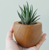 Pots de plantes succulentes pour la décoration intérieure Jardinières créatives Intérieur Extérieur Conteneurs de fleurs Boutique Vitrine Affichage Ornements