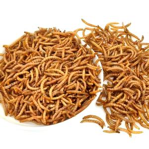 100%天然昆虫タンパク質乾燥ミールワーム鳥の餌高タンパク質乾燥ミールワーム - Product Image 1