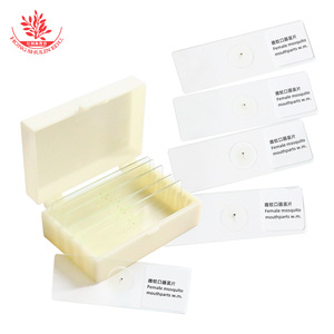 Portaobjetos biológicos con partes bucales de mosquitos hembras frescas, claramente teñidas y bien estructuradas, utilizados en laboratorios de enseñanza. - Product Image 3