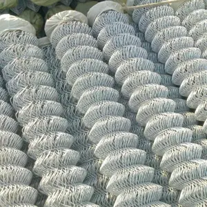 Rouleau de grillage métallique spécifique à l'élevage, grillage plastique imprégné, clôture en grillage hollandais, filet de protection pour <span class=keywords><strong>serre</strong></span> - Product Image 6