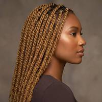 Dejavu Luxury Brazilian Remy Afro Kinky Bulk 100% Cheveux Humains pour Tressage, Lots de Cheveux Vierges Blonds # 613 # 27 30-100g
