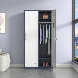 Armoire moderne en fer à 2 portes, bureau, maison, chambre à coucher Almirah Vêtements Serrure de rangement Armoire Métal Acier pour hôpital - Product Image 2