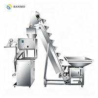 Automatic Granule Weighing Packing Machine with Bucket Elevator for Food Packaging Seeds Grain Snacks High Speed Bagging System