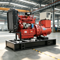 Générateur diesel 12 kW avec générateurs diesel 20 kW, système de contrôle automatique de haute qualité