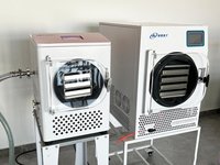 Petite machine de lyophilisation pour aliments, fruits et légumes