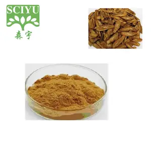 Sciyu Supply Burdock Extract Burdock Root Extract Powder Arctiin 10% 20% 30%