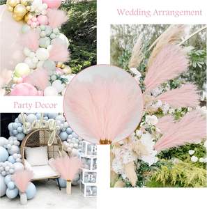Rose Faux Pampas <span class=keywords><strong>Herbe</strong></span> Décor Court Artificielle Pompeuse <span class=keywords><strong>Herbe</strong></span> Floral Faux Pampas <span class=keywords><strong>Herbe</strong></span> pour <span class=keywords><strong>La</strong></span> Maison <span class=keywords><strong>De</strong></span> Mariage Boho Décor - Product Image 3