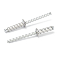 Rivets à percussion de type ouvert DIN7337 OEM, longueur personnalisée, en aluminium, acier, acier inoxydable, fabricant de rivets à percussion