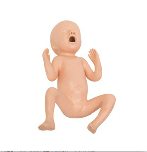 Modèle avancé en PVC durable pour nourrissons prématurés de 24 semaines pour la <span class=keywords><strong>formation</strong></span> en sciences médicales grandeur nature humaine pour les écoles de médecine et les hôpitaux - Product Image 4