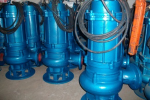ปั๊มจุ่มใต้น้ำ Qw Deep Well / 3 220v 50/60hz เหล็กหล่อ/สแตนเลส ใช้สำหรับเครื่องกระจายกลิ่นอโรมา รับประกัน 2 ปี P - Product Image 4