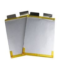Baterai Lithium-Ion LiFePO4 Soft-Pack 32V 50A untuk Kendaraan Listrik