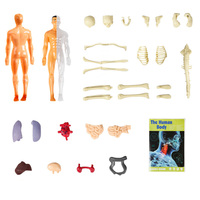 Squelette de modèle de structure de corps humain détachable avec simulation d'anatomie médicale d'organes internes et de globe oculaire pour l'éducation scientifique