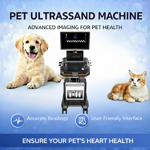 Mesin Ultrasound Veteriner Doppler Warna Definisi Tinggi untuk Diagnosa Hewan Peliharaan Lanjutan - Product Image 1