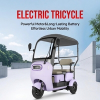 Tricycle électrique semi-fermé neuf pour usage domestique, pratique pour les adultes et les personnes âgées