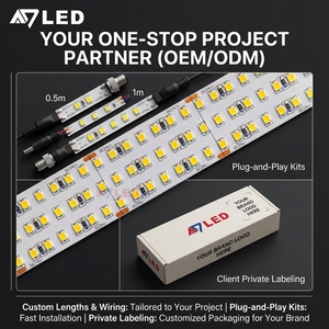 High Density 420LEDs/m <b>Led</b> Strip <b>Light</b> 24V SMD 2835 High Brightness Flexible <b>LED</b> <b>Light</b> Strip for Linear Decoration - Product Image 5