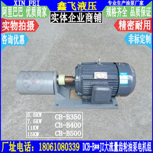 Conjuntos de Motor de Bomba de Paletas de Alto Flujo CB-B350 DCB-B400 TXCB-B500 TXLB-B600, Bomba de Aceite de Engranajes Helicoidales de Alto Rendimiento - Product Image 1