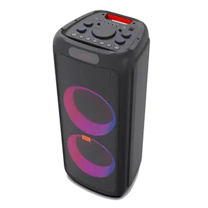 1000W private Dual 10 inches home pod speaker box with flame light