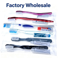 Kit dentaire Tracey pour les voyages, les hôtels et les restaurants, comprenant une brosse à dents et du dentifrice