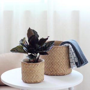 Conception de tissage de <span class=keywords><strong>bambou</strong></span> de haute qualité pots de plantes vertes de ciment décoratifs d'intérieur extérieur pour la décoration de jardin à la maison - Product Image 4