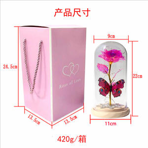 GOLIN colore rosa chiaro di vetro cupola pianta decorativa fiore per mamma donna figlia <span class=keywords><strong>figlio</strong></span> compleanno e regalo di <span class=keywords><strong>san</strong></span> <span class=keywords><strong>valentino</strong></span> festa della mamma - Product Image 2