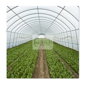 Invernadero pequeño, invernadero de tomate de aluminio, cubierta de  invernadero de PVC para interiores y exteriores, pequeñas plantas de  jardinería