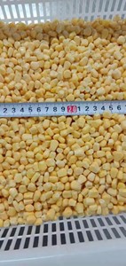 Maïs sucré congelé iqf, <span class=keywords><strong>prix</strong></span> de gros, légumes surgelés - Product Image 5