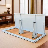 Porte souterraine invisible entièrement automatique avec moteur haute puissance, porte d'accès spéciale pour sous-sol, usage domestique