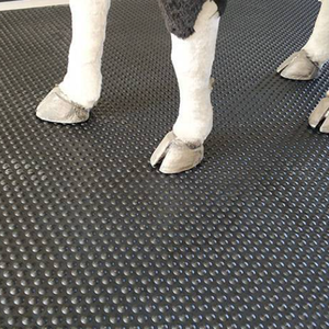 Thảm Ghép Hình Bằng Cao Su Thiên Nhiên Siêu Cứng Sử Dụng Chăn Nuôi Chăn Nuôi - Product Image 2