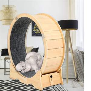 <b>Indoor</b> <b>Cat</b> Wheel Pet <b>Toys</b> Running Treadmill with Carpeted Small <b>Cat</b> Sport <b>Toy</b> Fits Suitable Physical <b>for</b> <b>Indoor</b> <b>Cat</b> Wheel - Product Image 5