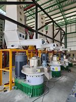 CE-gecertificeerde grote industriële biomassa hout EFB complete EPC automatische bediening 3 tot 4 tph pelletproductielijn in Myanmar