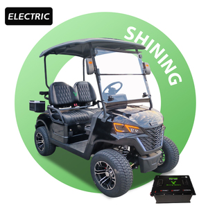 Voiturette de golf 2 places avec batterie lithium 48 volts, boîtes latérales personnalisées, certifiée CE, vitesse 50-70 km/h - Product Image 3