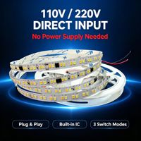 Bande lumineuse LED 192 LED 8MM 2835 SMD CCT 110V 220V haute tension à changement de couleur sans alimentation électrique