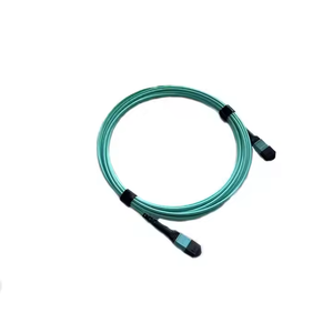 FTTH trong nhà/ngoài trời không thấm nước vá dây 8 12 24 lõi OM3 OM4 sợi quang MTP <span class=keywords><strong>MPO</strong></span> Nam Nữ Cáp <span class=keywords><strong>LC</strong></span> kết nối 4G Wifi - Product Image 6