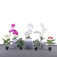 Dijual Pot Anggrek Imitasi Daun Sutra Daun Bunga, Tanaman Flask Phalaenopsis Putih 3 CABANG