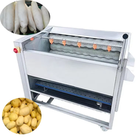 Industriële borstelrolwasmachine, aardappelwas- en schilmachine voor wortelgewassen, gember, voedselverwerkingsfabriek