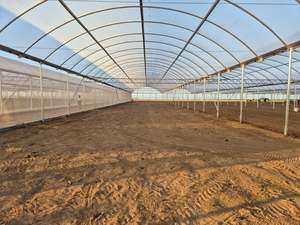 Tùy chỉnh cao gió Rau polytunnel Nông Nghiệp Nhà kính cho Blueberry để bán - Product Image 6