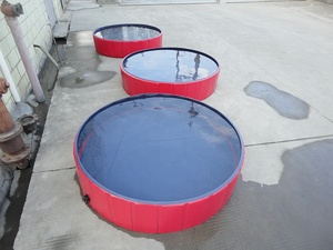 Jasonwell PVC Foldable <strong>Dog</strong> Pet Bath <strong>Pool</strong> Collapsible Swimming <strong>Pool</strong> for Children - Product Image 3