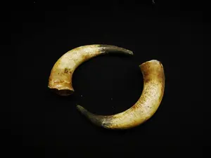 Par de cuerno largo montado en la pared de búfalo real hecho a mano con kit de montaje para decoración de tema occidental a precio asequible - Product Image 2