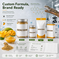 Reptielen Fruit Smaak Insectenpoeder Gekko Kleine Hagedis Zachte Pasta Aangepaste Formule Privélabel Fabrieksdirect Bulk Supplementen