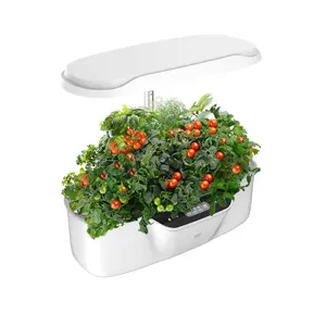 Hydroponics Phát Triển Hệ Thống 12 Vỏ Trong Nhà Vườn 24W Quang Phổ Đầy Đủ Phát Triển Đèn Có Thể Điều Chỉnh Chiều Cao Máy Bơm Im Lặng Hệ Thống Cho Nhà