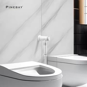 Профессиональный набор для ванной комнаты PINEBAY с магнитным пластиковым распылителем для биде с мусульманской держателем для унитаза и шлангом - Product Image 2